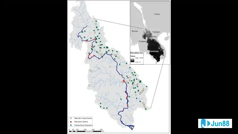 Đội hình dự kiến Australia và New Zealand trước trận đấu